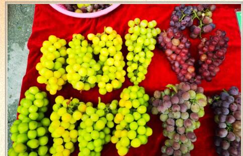 666666666666666.jpg 666666666666666.jpg