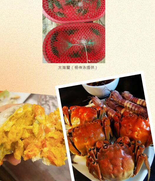 44444444444.jpg 44444444444.jpg