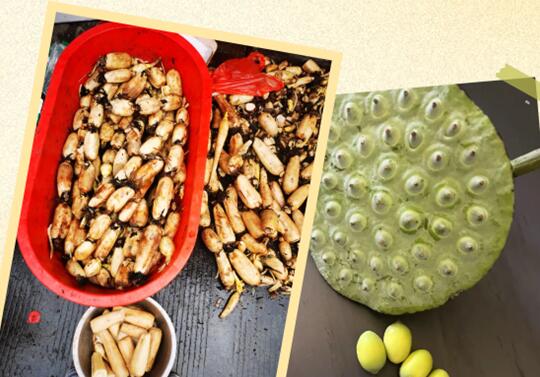 2222222222.jpg 2222222222.jpg