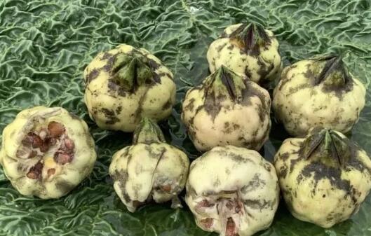 33333333.jpg 33333333.jpg