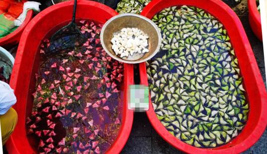 1111111.jpg 1111111.jpg